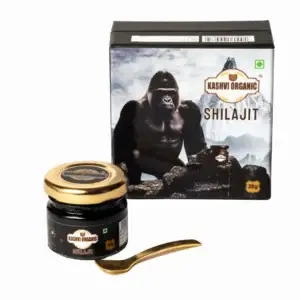 Kashvi Organic Shilajit