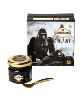 Kashvi Organic Shilajit 20g